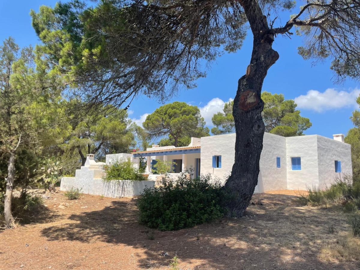 Sa Tanca Des Pla Villa San Francisco Javier Ngoại thất bức ảnh
